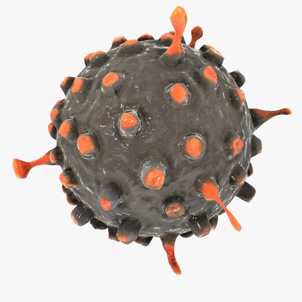 gastroenteritis virus 3d model