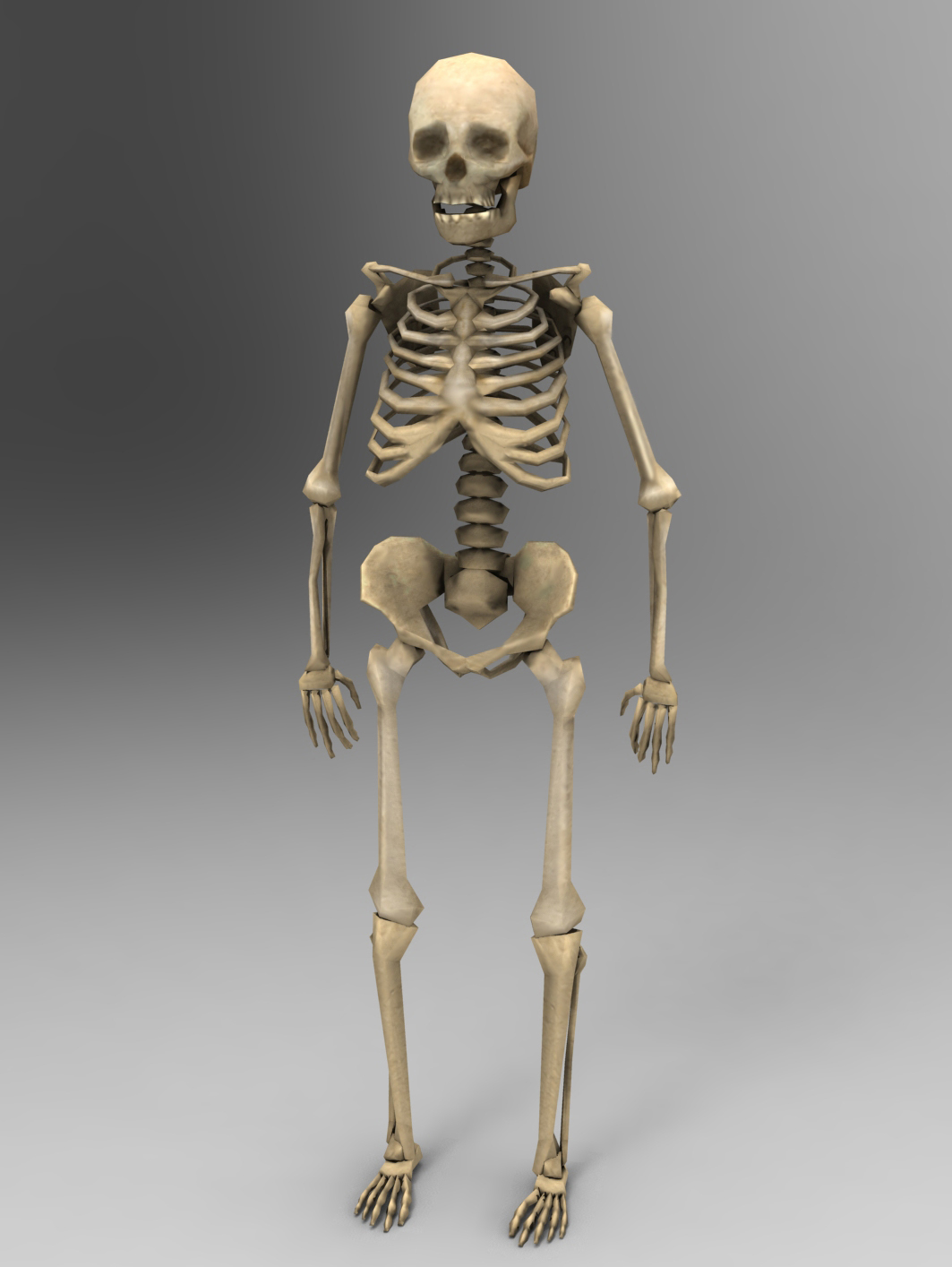 3d human skeleton