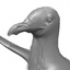 seagull herring gull bird flight 3d lwo