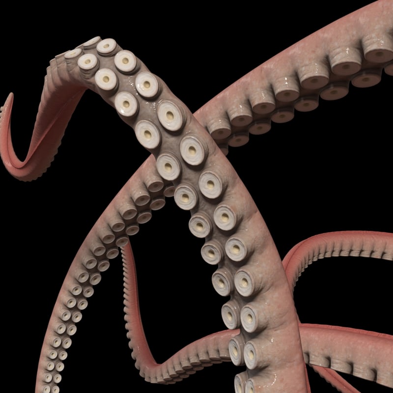 models for tree 3d blender free octopus model tentacle 3d