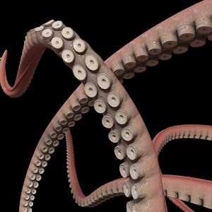 3d octopus tentacle model