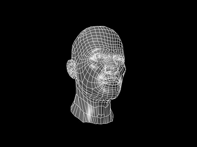 现实的人体头部3d模型