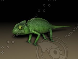 chameleon animation 3d model