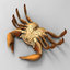 max crab lobster cheetah3d