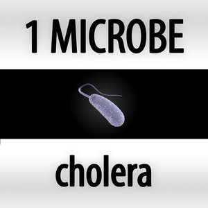 3d max microbes micro organisms
