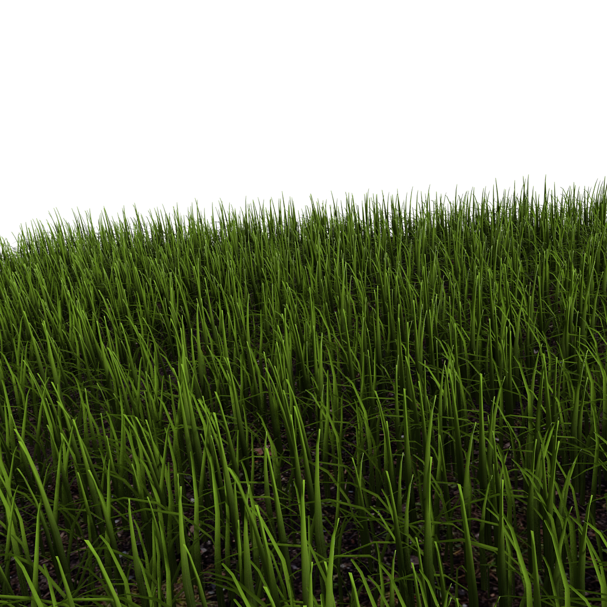 grass 3d model