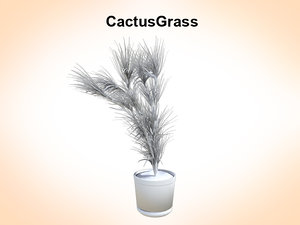 cactus grass c4d