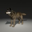 wolf dog max