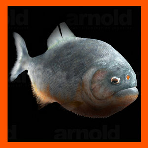realistic piranha 3d model