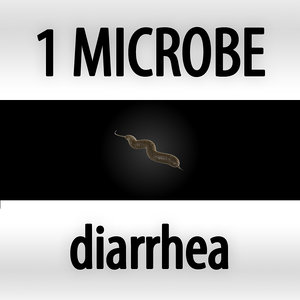 3d microbes micro organisms model