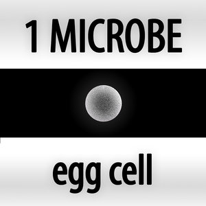 3d microbes bacteria cells