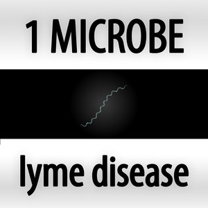 microbes micro organisms 3d obj