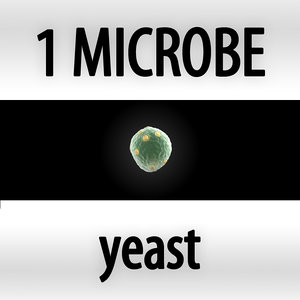 microbes micro organisms max