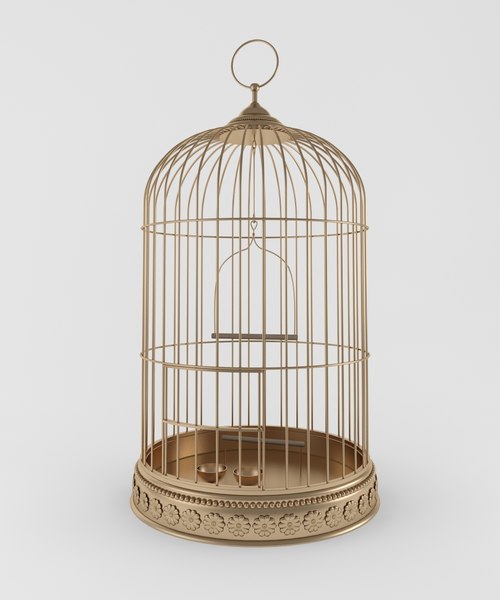 bird cage model