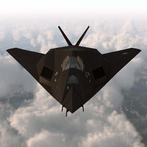 realistic f 117 nighthawk 3d model