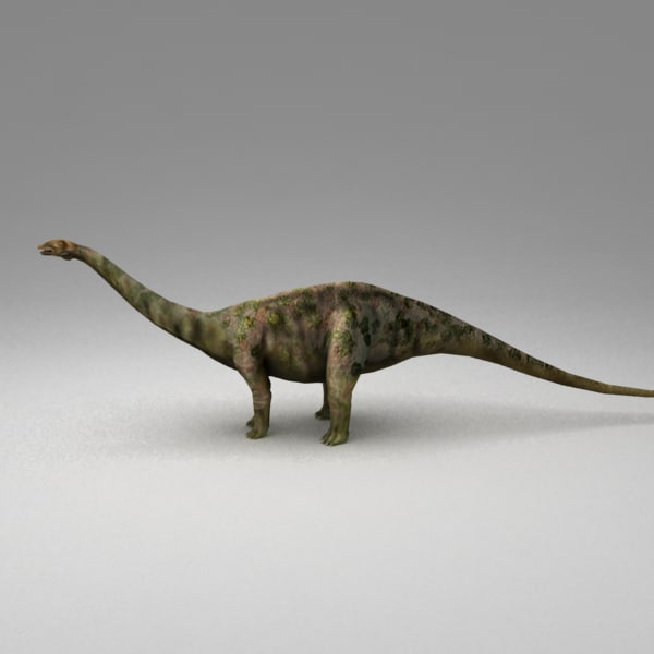 apatosaurus 3d