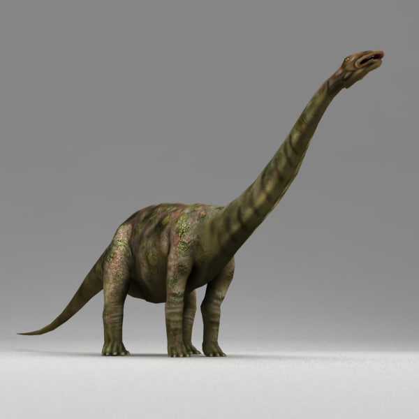 apatosaurus 3d