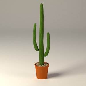 3dsmax cactus pot