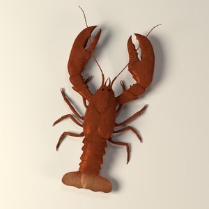 lobster c4d