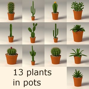3d cactuses pots