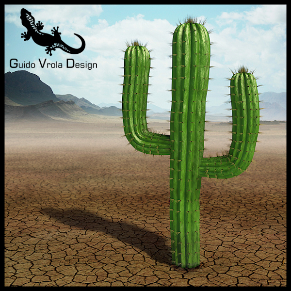 What Zombies Can Educate You About Do Succulents Need Fertilizer