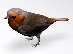 3d model european robin bird