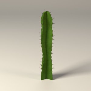 3d model cactus