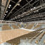 3d max indoor sports hall