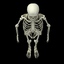 3d model skeleton rigged