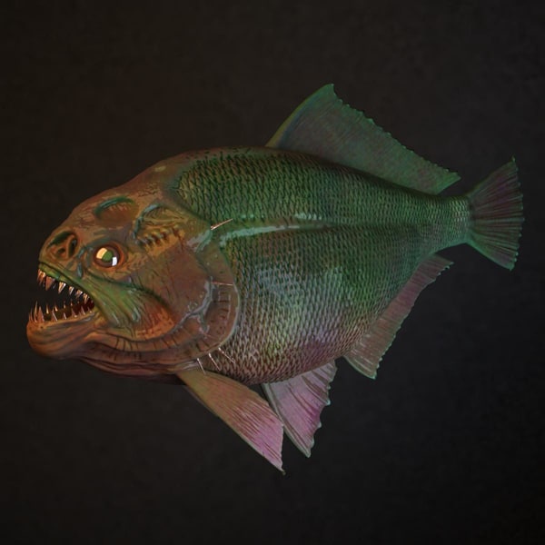 3d model piranha fish