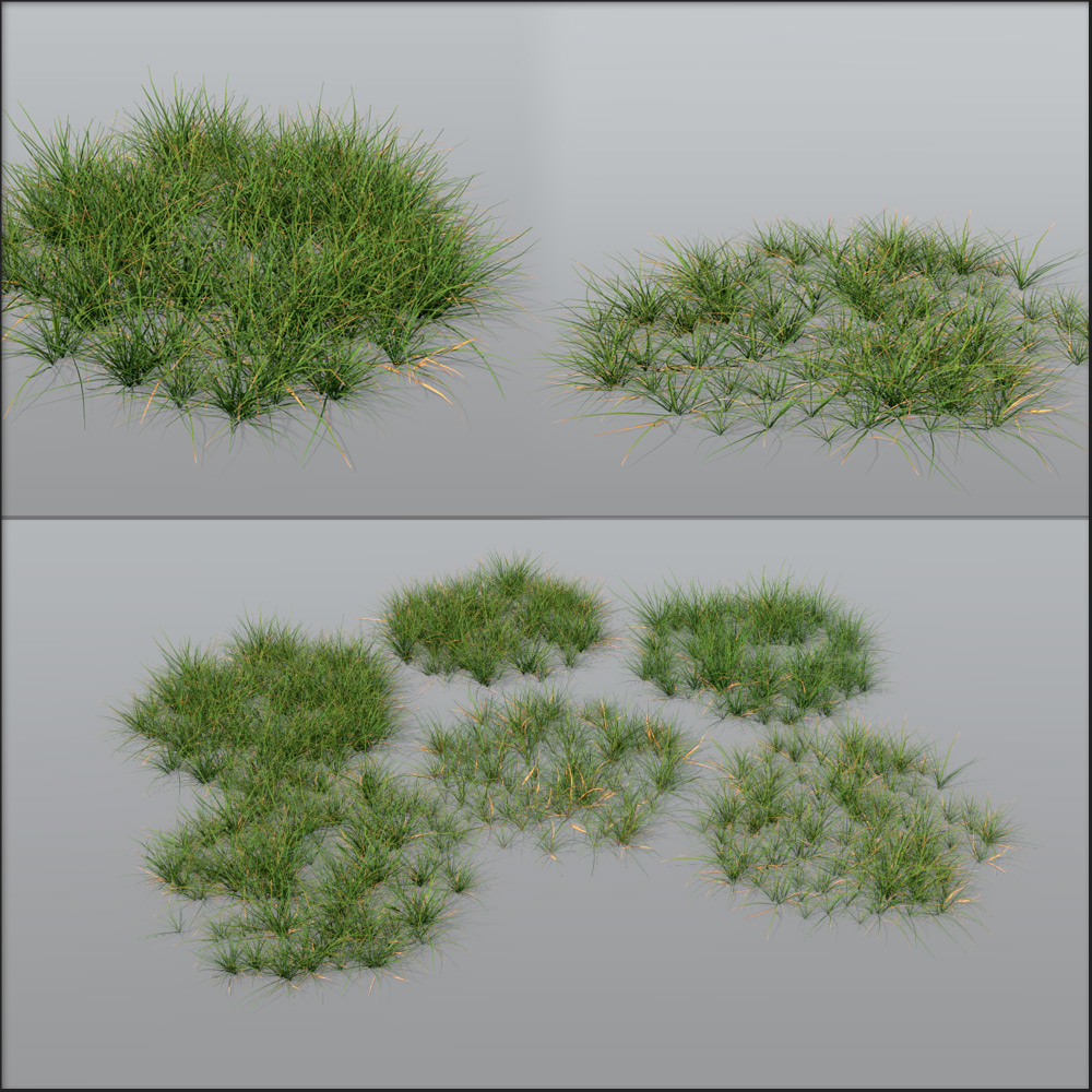 grasses exterior architectural 3d model