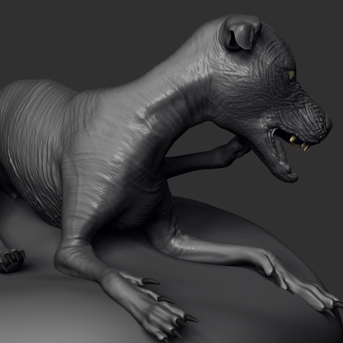 free-sam-world-ugliest-dog-3d-model