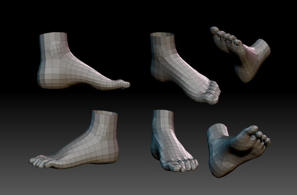 3d model of feet