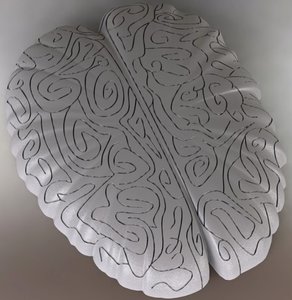3ds max maze shape brain