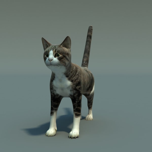 cat rigging obj