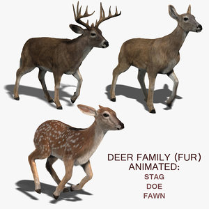 deer family fur 3d ma