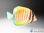 free tropical fish pack 3d model