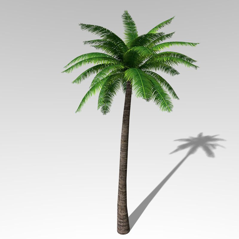 modèle 3D de Palmier 3 - TurboSquid 653015