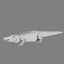3d alligator gator model