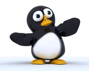 max penguin character