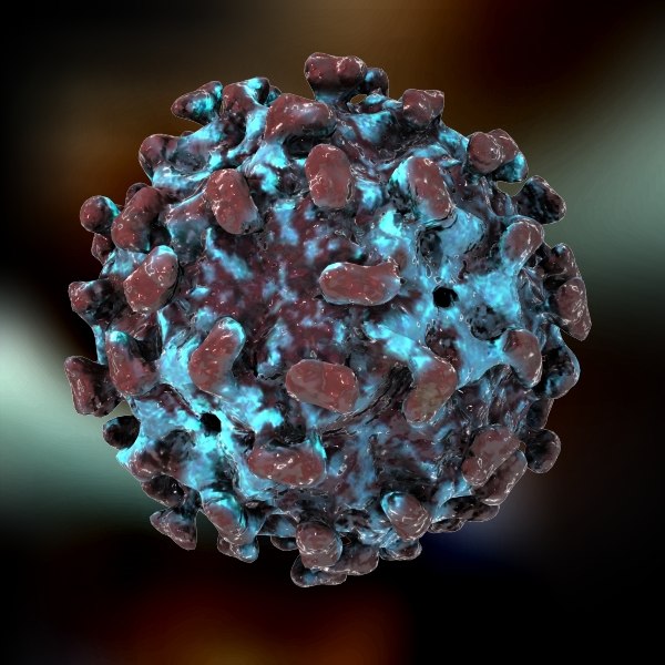 hev virus 3d max