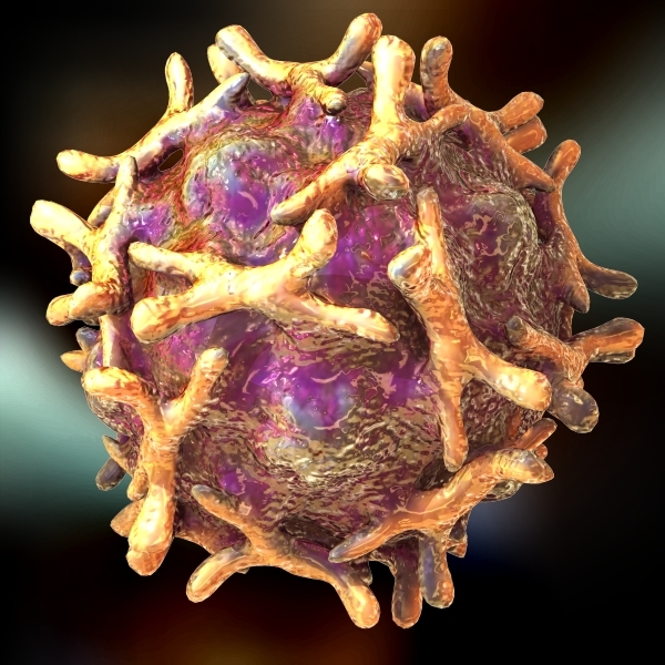 virus bacteria 3d max