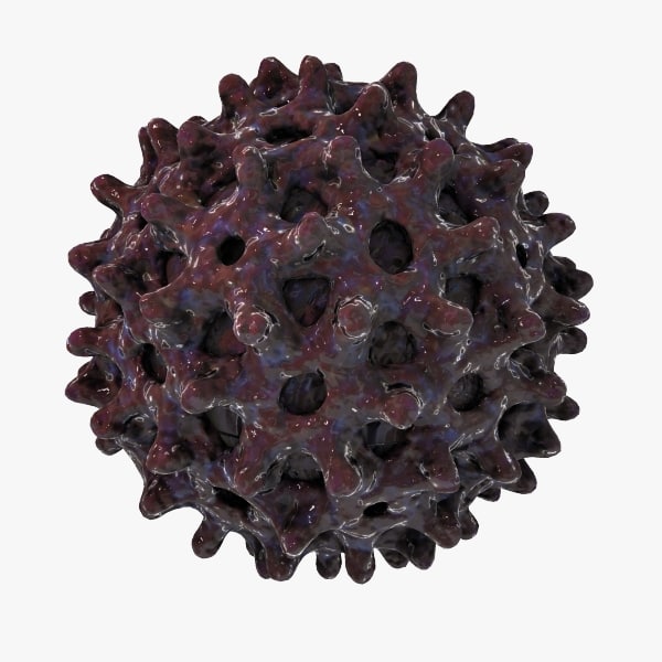 Hepatitis B Virus 3d Model