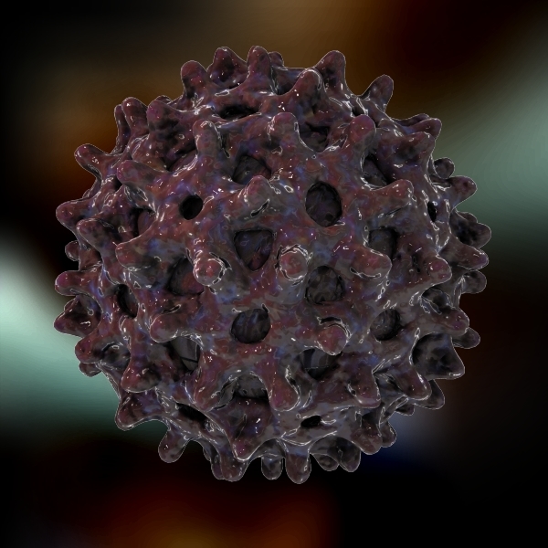 hepatitis b virus 3d model