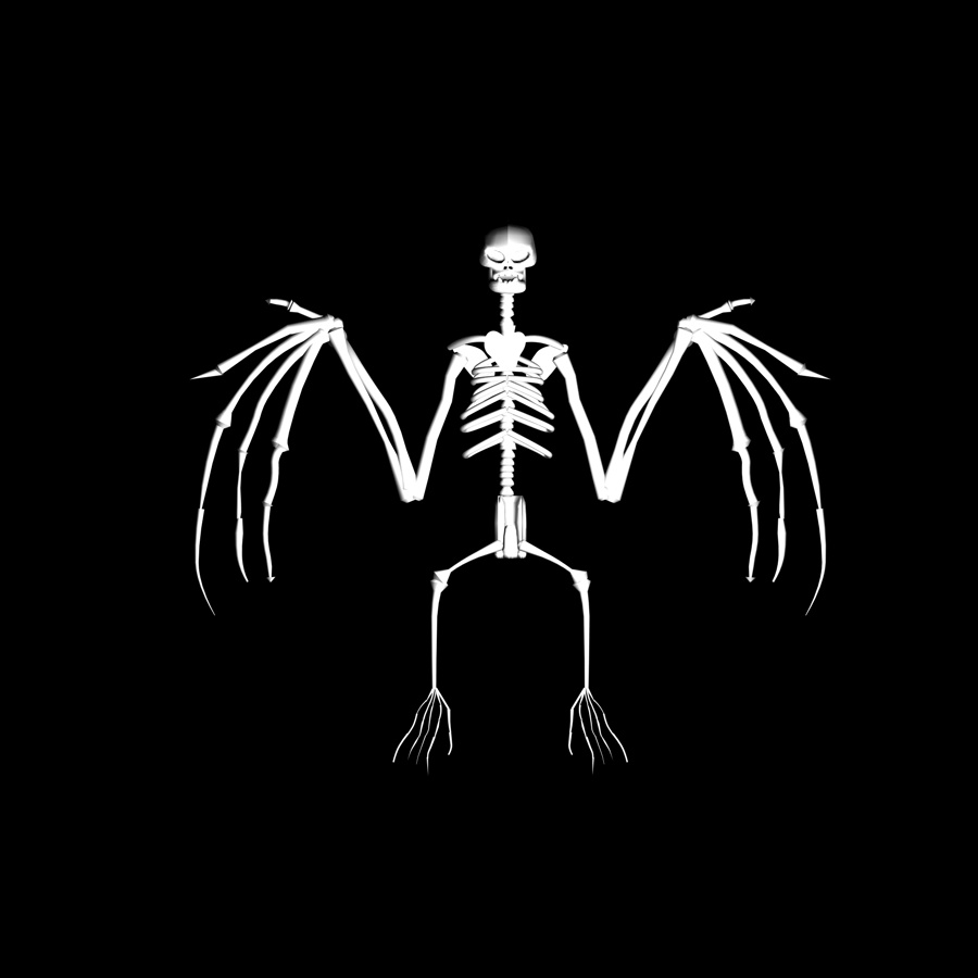 3d bat skeleton model