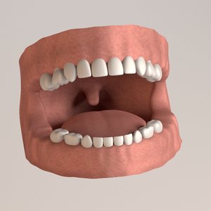 3dsmax child teeth gums