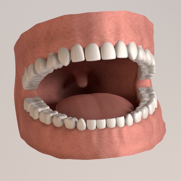 Blender Teeth Models TurboSquid