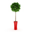 pot tree 3d model