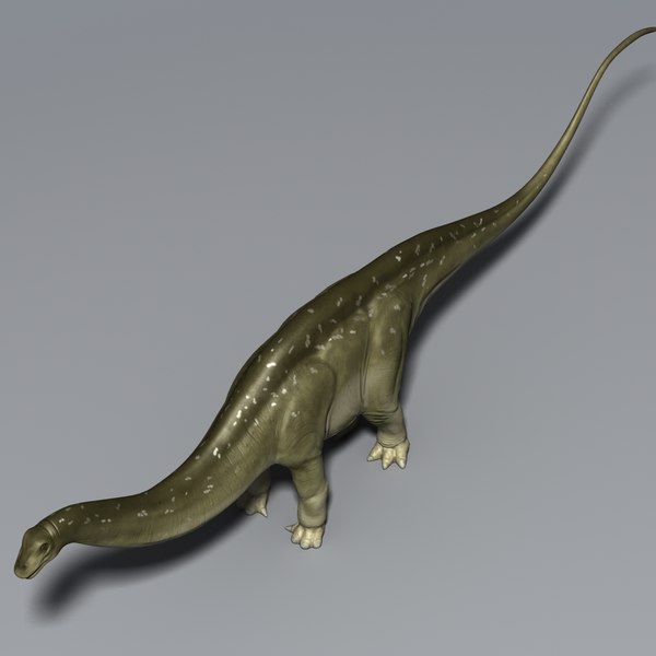 apatosaurus 3d view