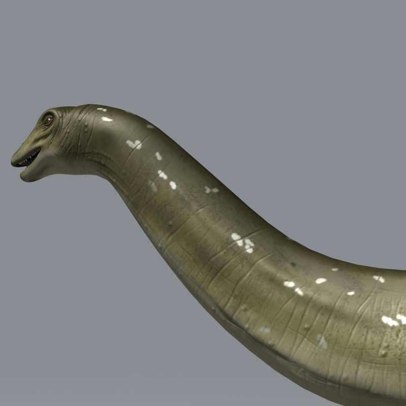 apatosaurus 3d